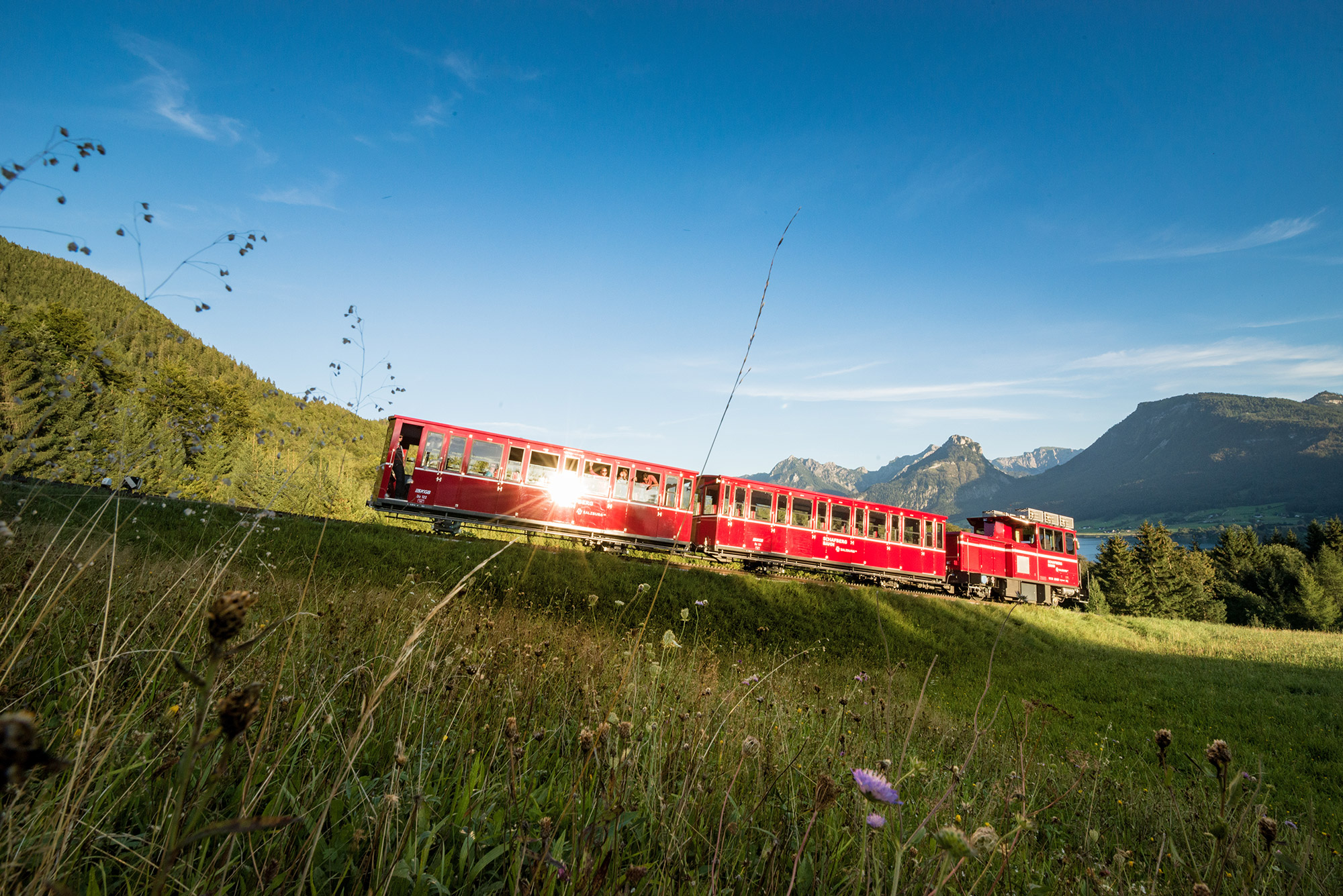 Schafbergbahn